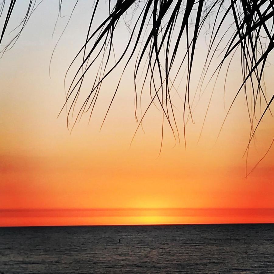 #212 Surf Song Resort St. Pete Beach Exterior foto
